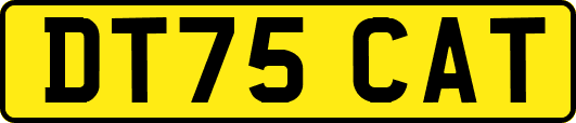 DT75CAT