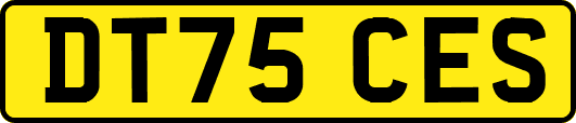 DT75CES