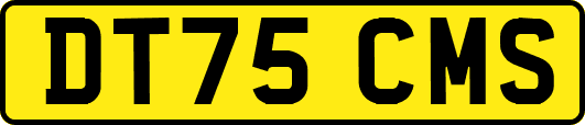 DT75CMS
