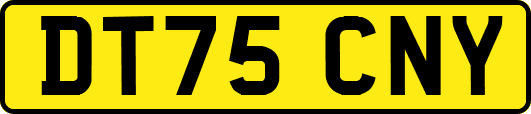 DT75CNY