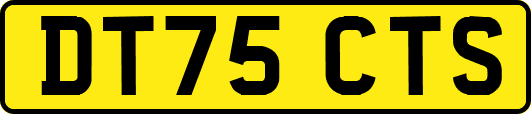 DT75CTS