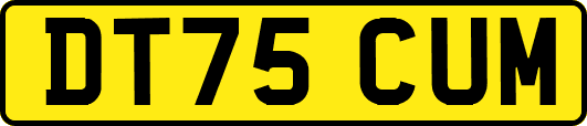 DT75CUM