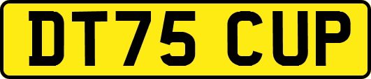 DT75CUP