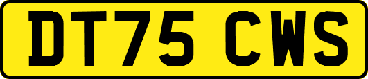 DT75CWS