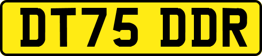 DT75DDR