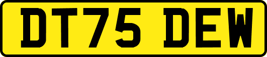 DT75DEW