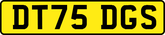 DT75DGS