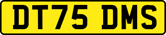 DT75DMS