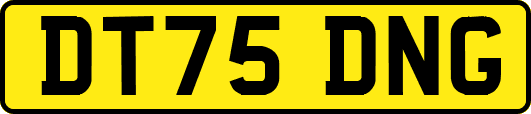 DT75DNG