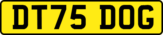 DT75DOG