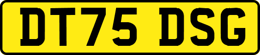 DT75DSG