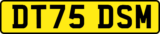 DT75DSM