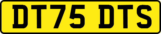 DT75DTS