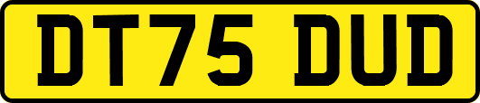 DT75DUD