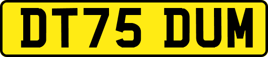DT75DUM