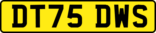 DT75DWS