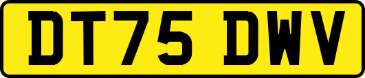 DT75DWV