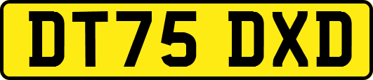 DT75DXD