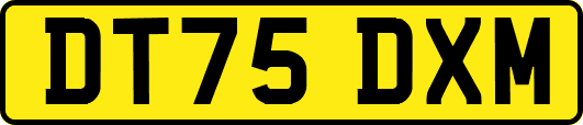DT75DXM