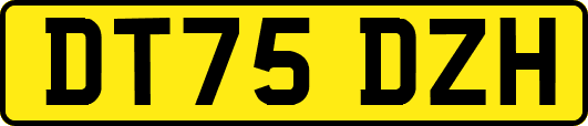 DT75DZH