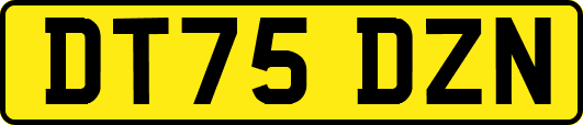 DT75DZN