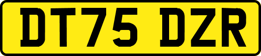 DT75DZR