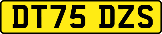 DT75DZS
