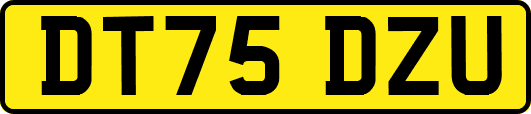 DT75DZU