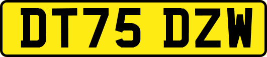 DT75DZW