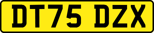 DT75DZX