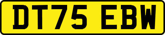 DT75EBW