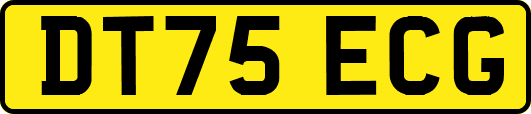 DT75ECG