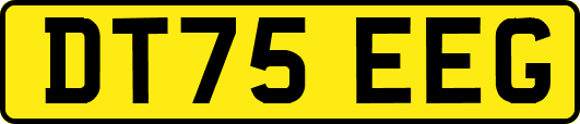 DT75EEG