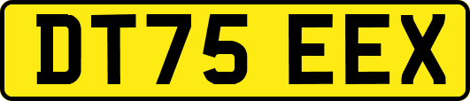 DT75EEX