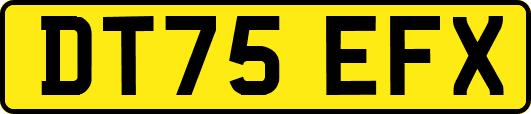 DT75EFX