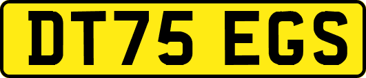 DT75EGS