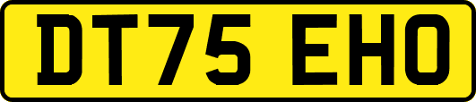 DT75EHO