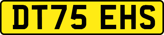 DT75EHS
