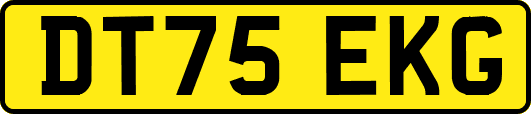 DT75EKG
