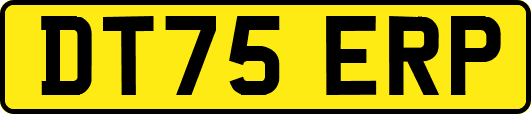 DT75ERP