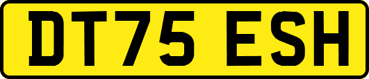 DT75ESH