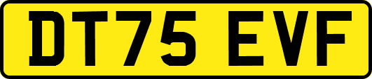 DT75EVF