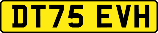 DT75EVH