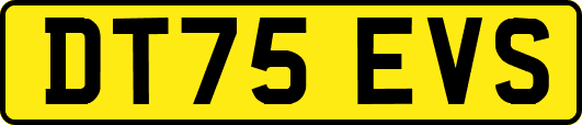 DT75EVS
