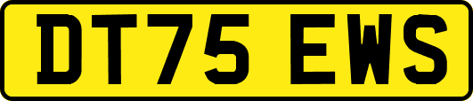DT75EWS