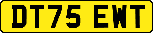 DT75EWT