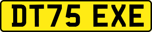 DT75EXE