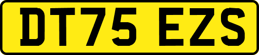 DT75EZS