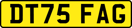 DT75FAG