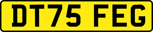 DT75FEG